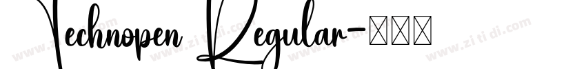 Technopen Regular字体转换